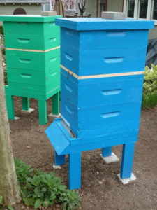 The blue hive and the green hive