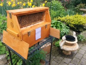 The observation hive during Open Studios